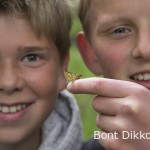 Bont Dikkopje op vinger II