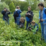 Groep bij beekrombout