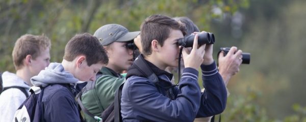 Boomvalk-excursie okt. 18 AW-duinen 3