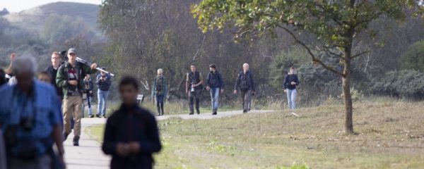 Boomvalk-excursie okt. 18 AW-duinen 6