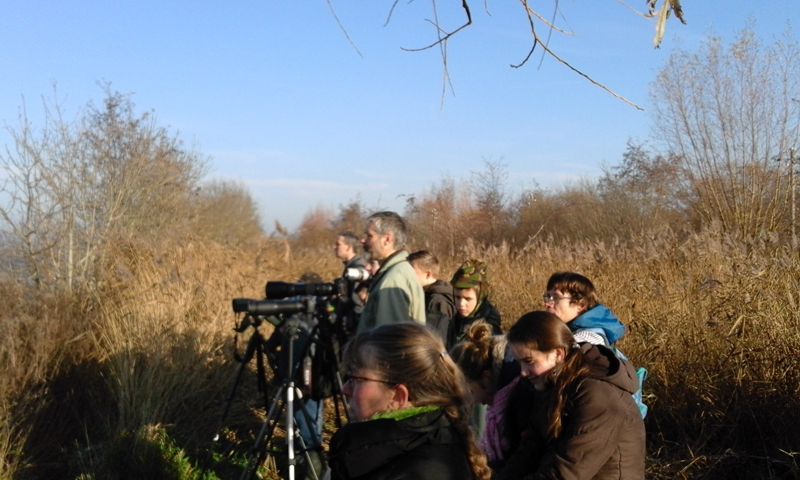 Excursie Surfplas Reeuwijk III. Foto door Diederik de Jong