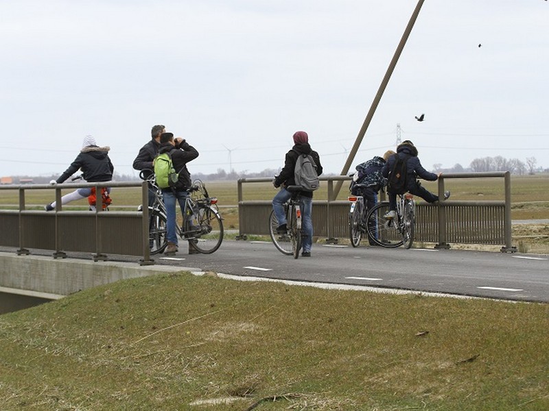 Verslag Fietsexcursie Brabantse Biesbosch