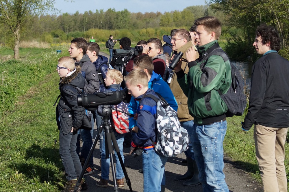 Ringslangexcursie 2017: Het verslag