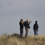 Boomvalk-excursie okt. 18 AW-duinen 1