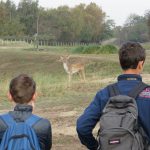 Boomvalk-excursie okt. 18 AW-duinen. Foto Evert Florijn