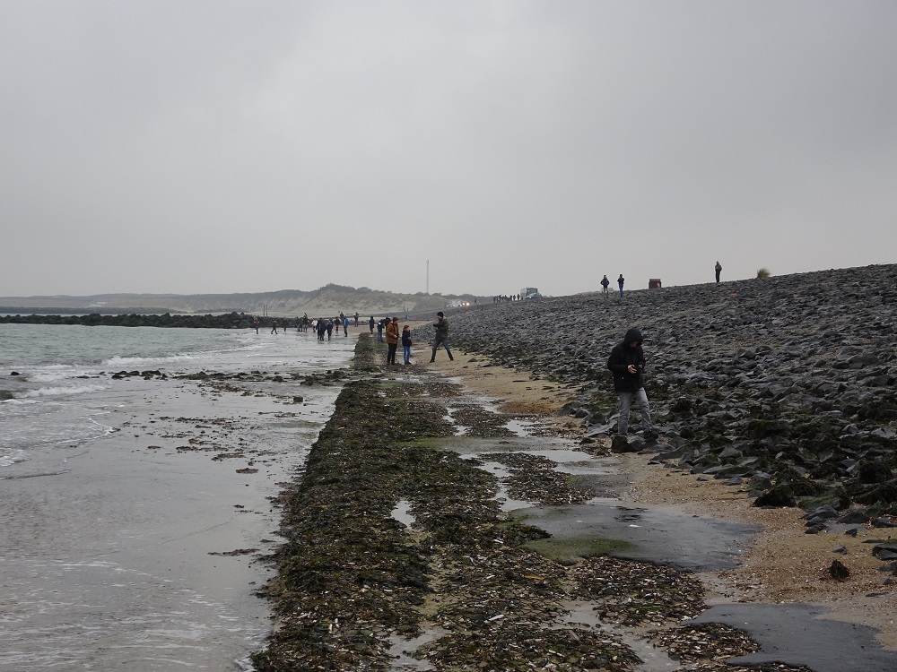 Verslag busexcursie naar Zeeland op 2 februari 2019