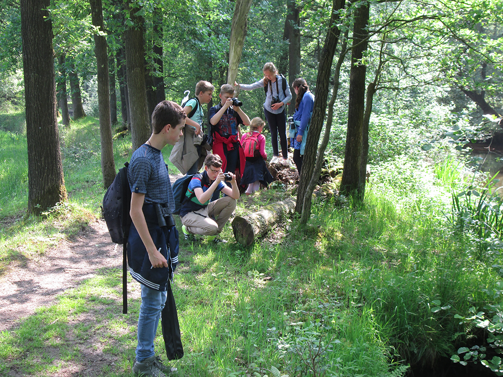 Verslagen Busexcursie Kampina 2016