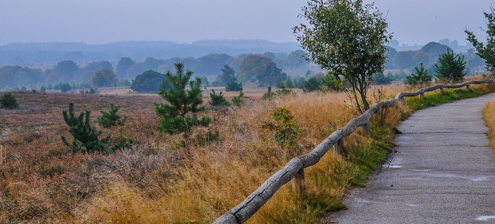 Kamperen in het wild, bolderende korhoenders en aan de slag voor de nachtzwaluw!