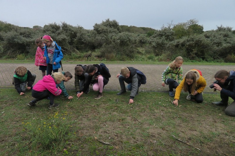 Foto-overzicht Amsterdamse Waterleidingduinen & Pier IJmuiden 2019