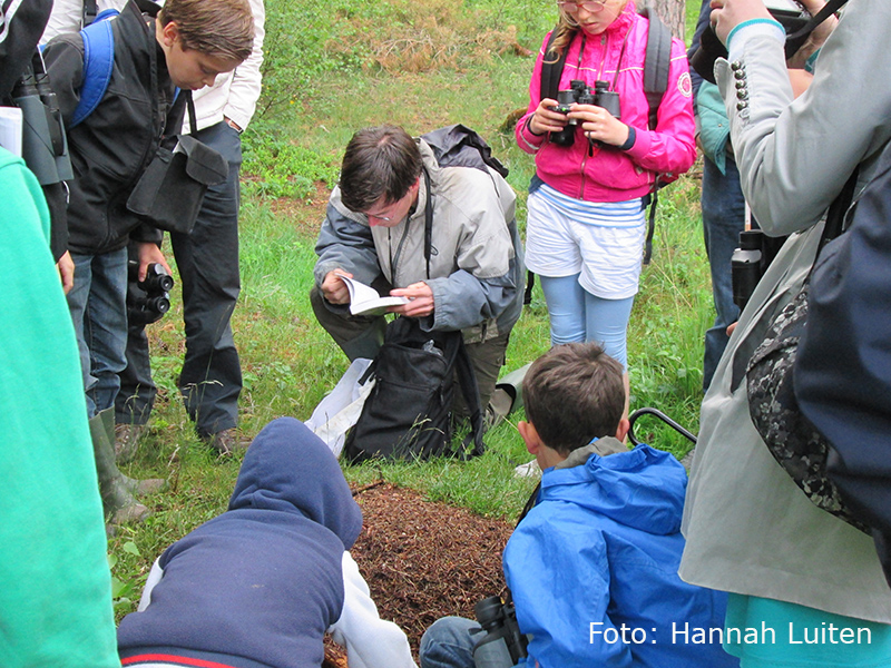 Verslag Busexcursie Kampina 2015