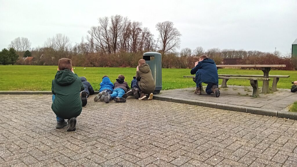 Koereiger bij Ouddorp fotograferen. Dor Johannes Luiten