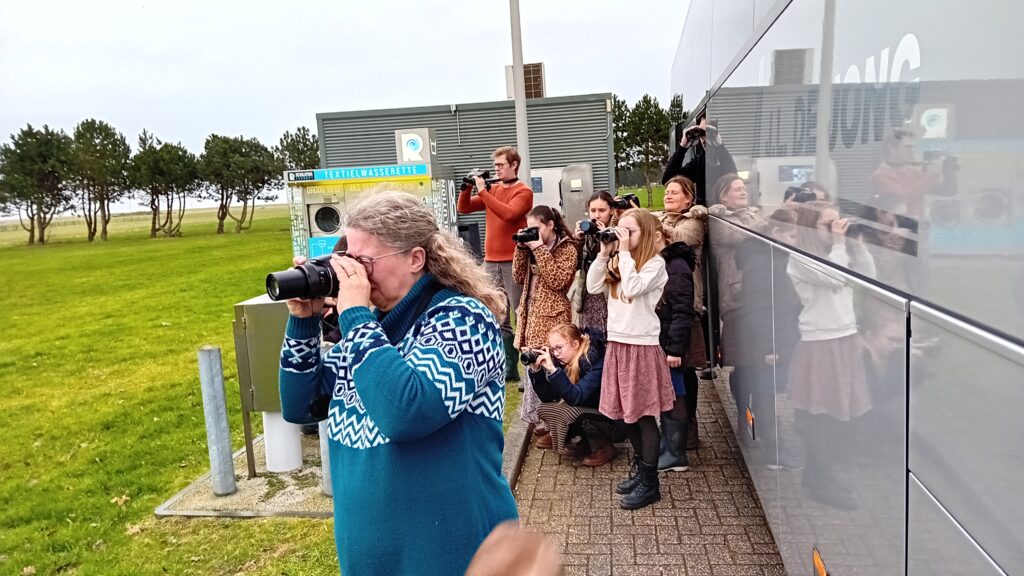 Koereiger in de belangstelling. Door Johannes Luiten