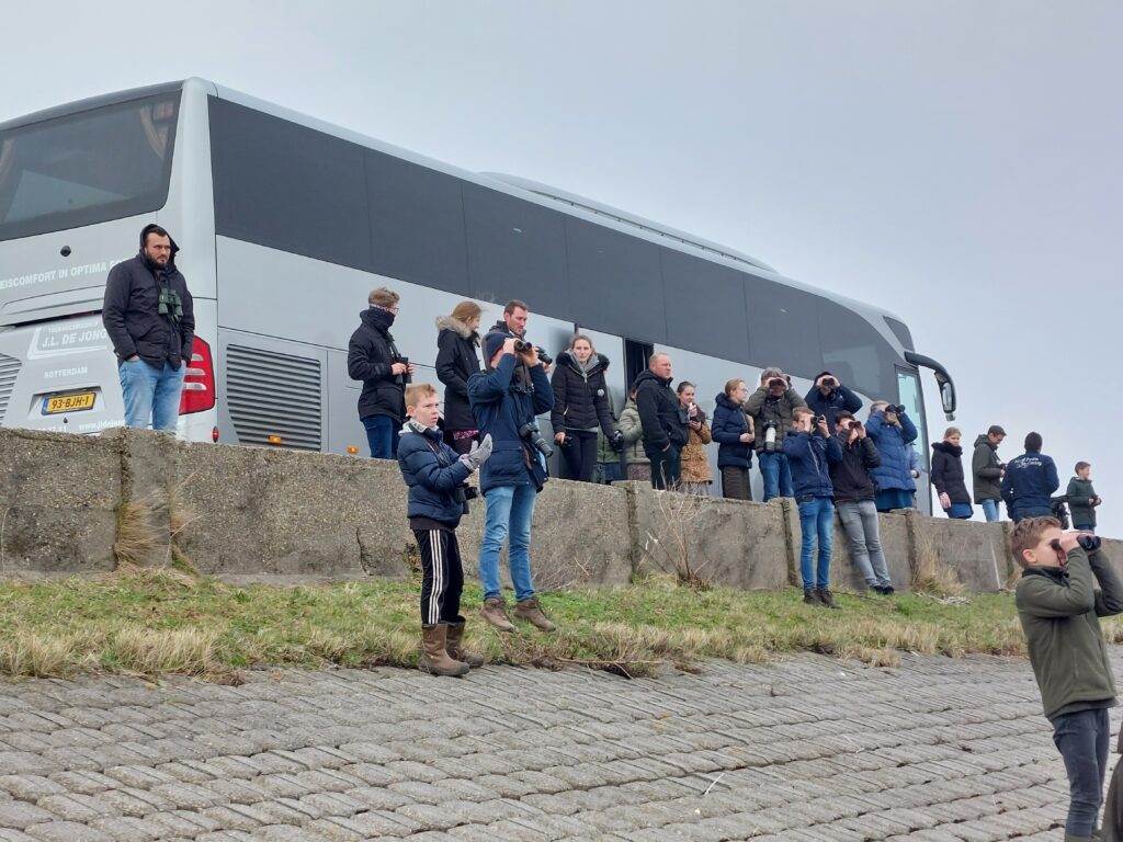 Turen over de Oosterschelde. Door Dirk-Jan Verboom