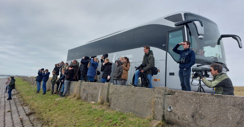 Busexcursie Zeeland 2024: Het verslag