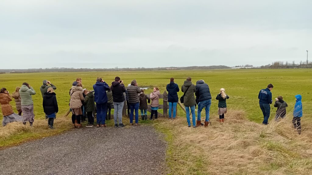 Zelfs met de verrekijker te herkennen - zwarte rotgans. Door Johannes Luiten