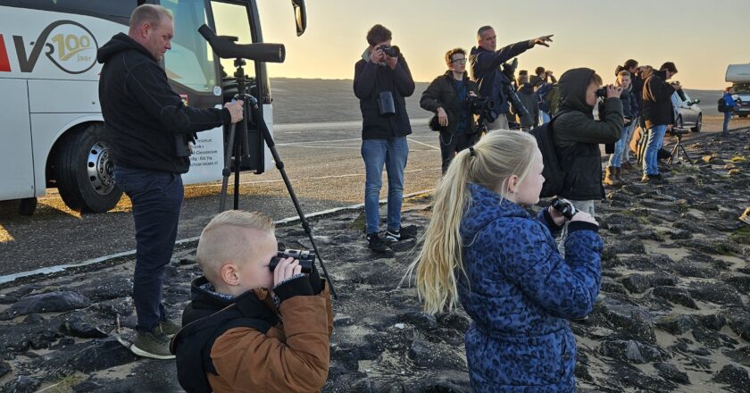 Verslag Boomvalk-excursie naar de Delta op 1 februari 2025