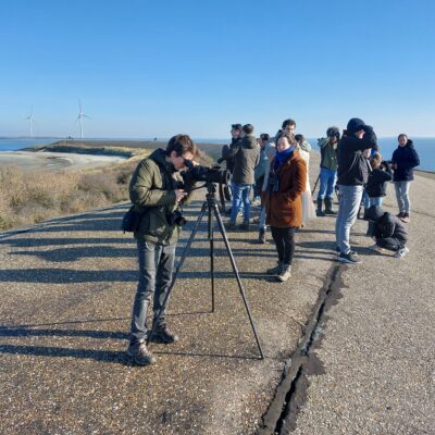 Foto overzicht Boomvalkexcursie naar de Zeeuwse delta