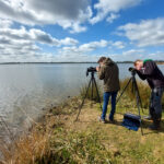 De Biesbosch, het land van water, griend, riet, zon, vogels en… Boomvalkers