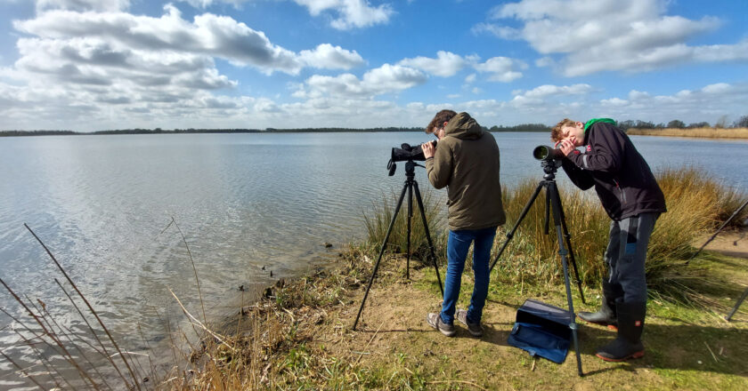De Biesbosch, het land van water, griend, riet, zon, vogels en… Boomvalkers
