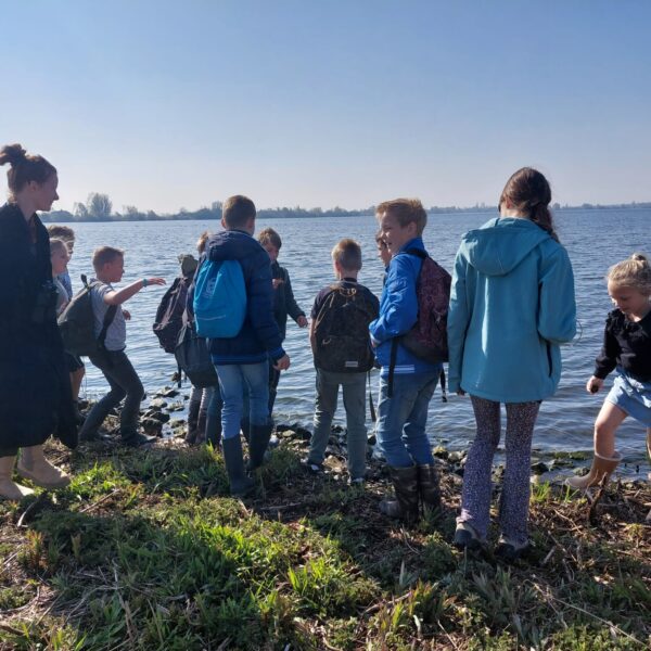 Ringslangen zoeken bij de Reeuwijkse Plassen