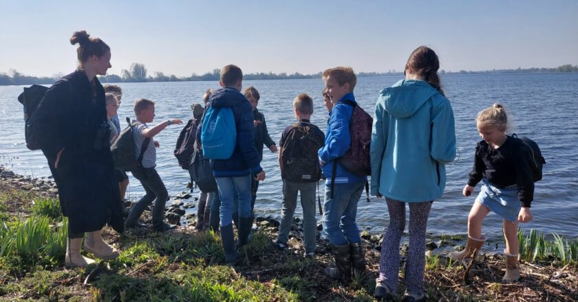 Ringslangen zoeken bij de Reeuwijkse Plassen