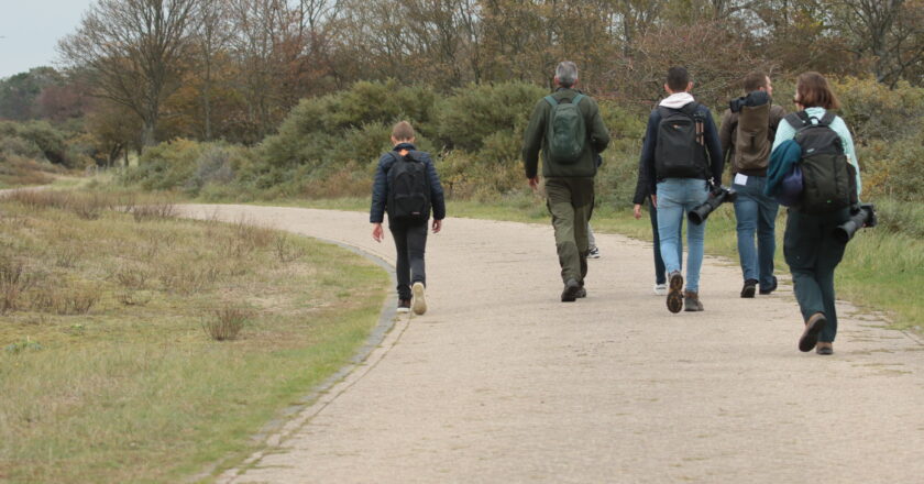 Verslag Boomvalkexcursie naar de Amsterdamse Waterleidingduinen en IJmuiden op 11 okt 2025