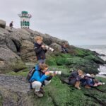 Foto pagina Busexcursie Amsterdamse Waterleidingduinen & Pier IJmuiden