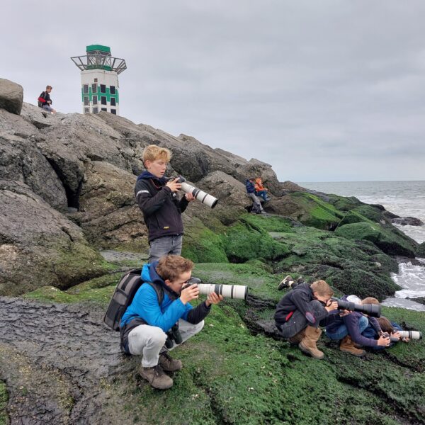 Foto pagina Busexcursie Amsterdamse Waterleidingduinen & Pier IJmuiden