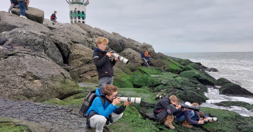 Foto pagina Busexcursie Amsterdamse Waterleidingduinen & Pier IJmuiden