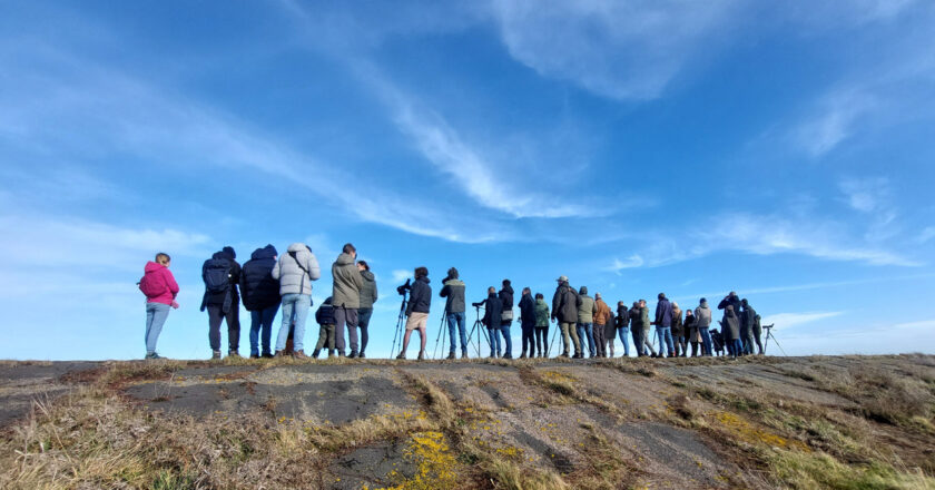 Boomvalk-busexcursie in de Delta op 7 februari 2026