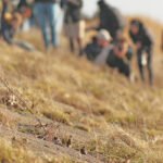 Foto pagina Excursie naar de Delta op 07 feb