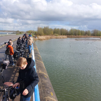 Foto overzicht fietsexcursie door de Brabantse Biesbosch
