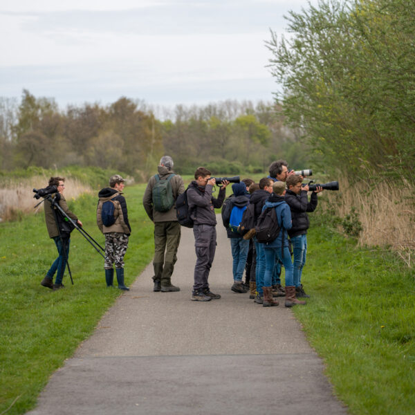 Verslag ringslangenexcursie Reeuwijkse Plassen 11 april 2026